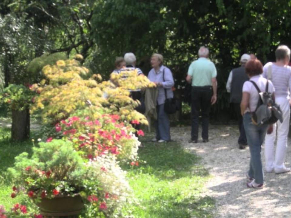 JUST FRIENDS SOCIETA' AGRICOLA A R.L.