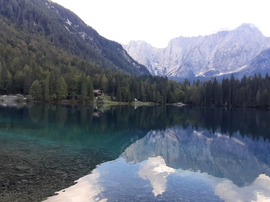 JUST FRIENDS SOCIETA' AGRICOLA  A  R.L.