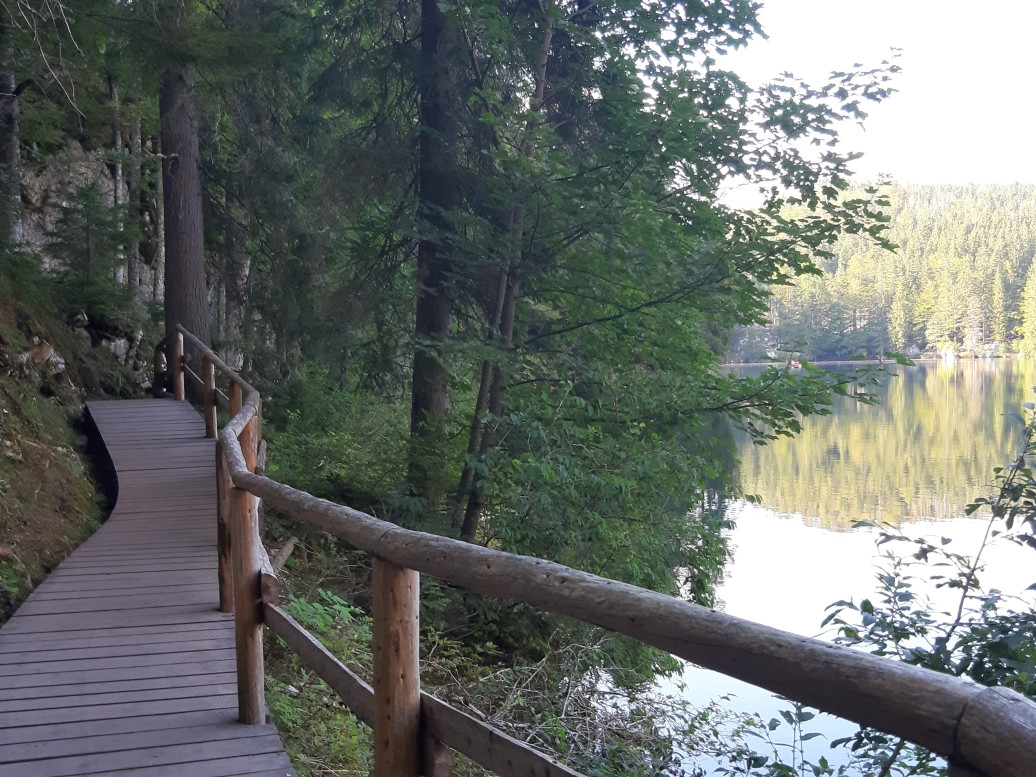 JUST FRIENDS SOCIETA' AGRICOLA  A  R.L.