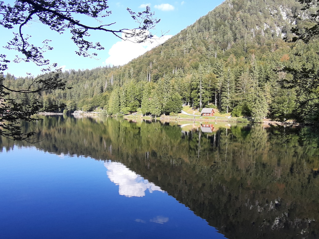 JUST FRIENDS SOCIETA' AGRICOLA  A  R.L.