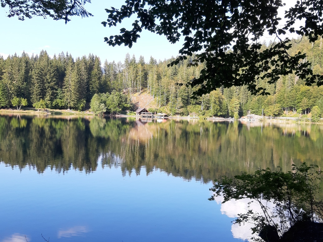 JUST FRIENDS SOCIETA' AGRICOLA  A  R.L.