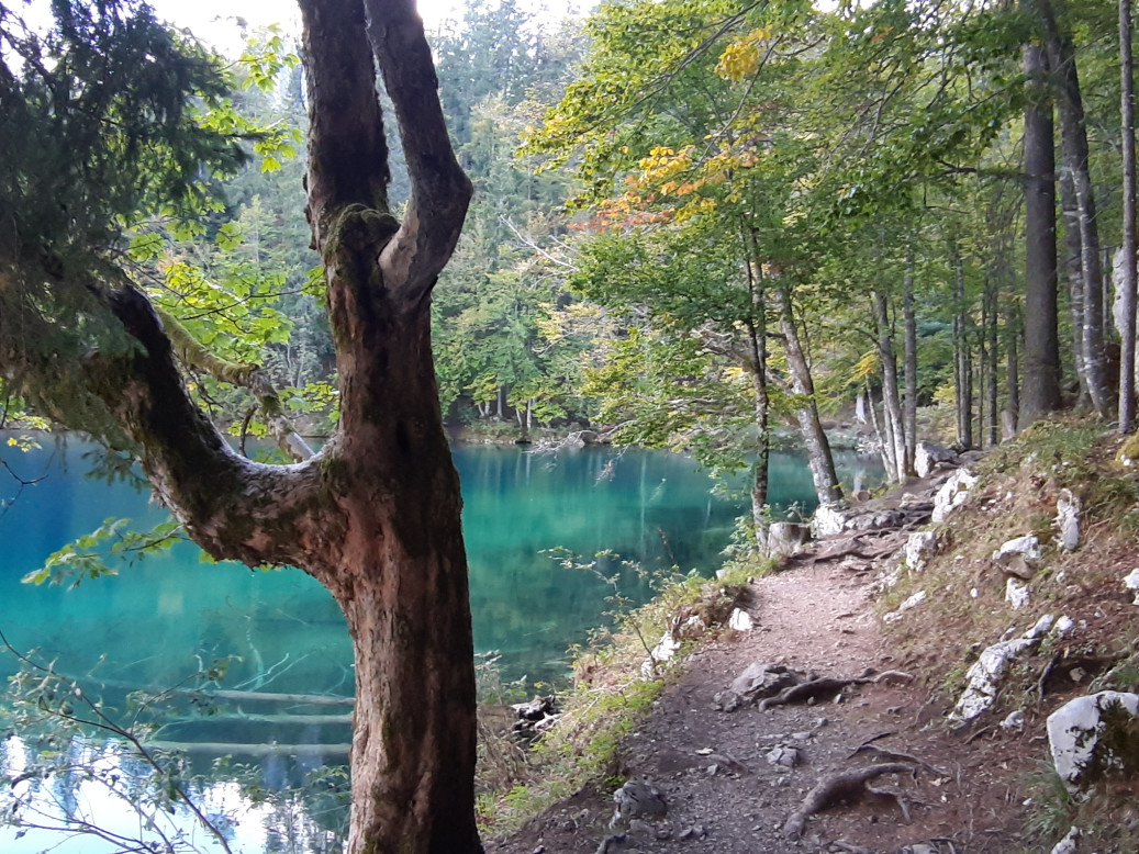 JUST FRIENDS SOCIETA' AGRICOLA  A  R.L.