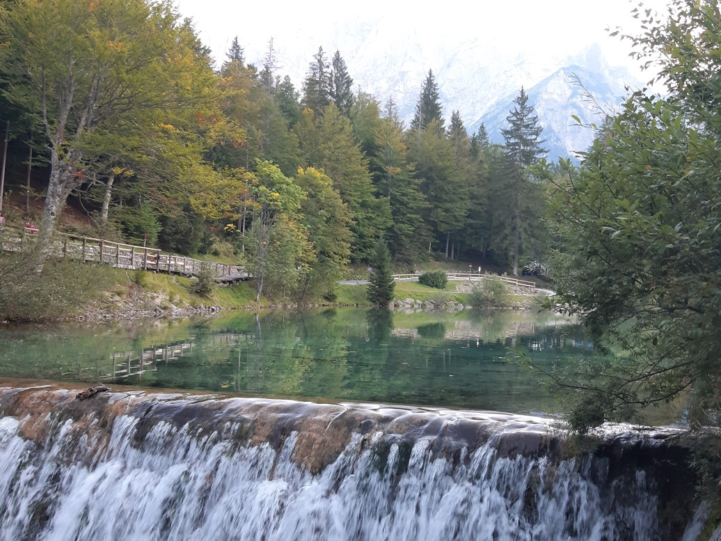 JUST FRIENDS SOCIETA' AGRICOLA  A  R.L.