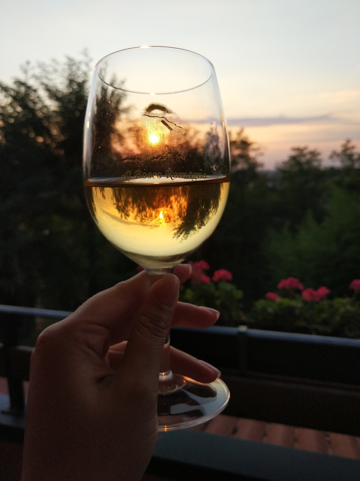 JUST FRIENDS SOCIETA' AGRICOLA  A  R.L.