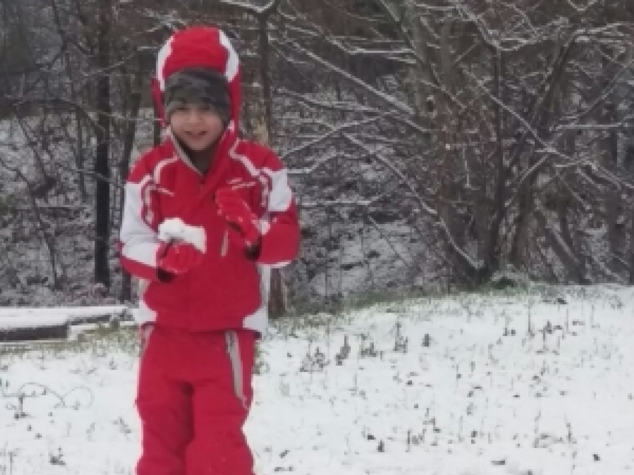 JUST FRIENDS SOCIETA' AGRICOLA  A  R.L.