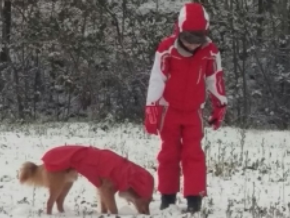 JUST FRIENDS SOCIETA' AGRICOLA  A  R.L.