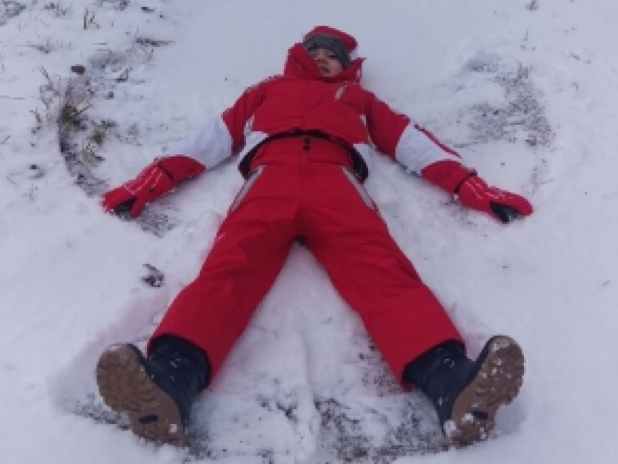 JUST FRIENDS SOCIETA' AGRICOLA  A  R.L.