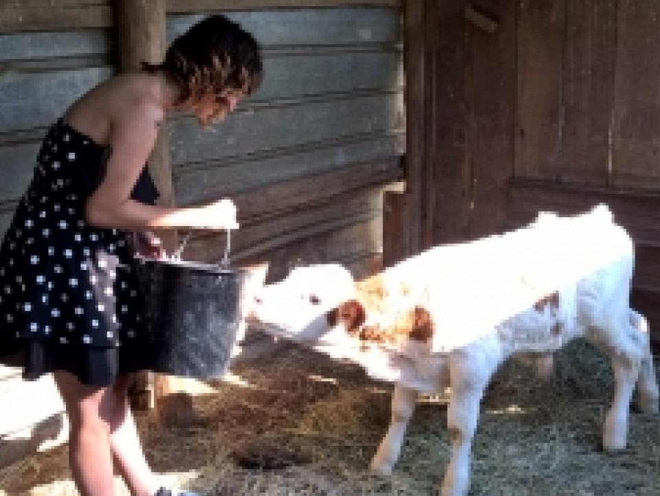 JUST FRIENDS SOCIETA' AGRICOLA  A  R.L.