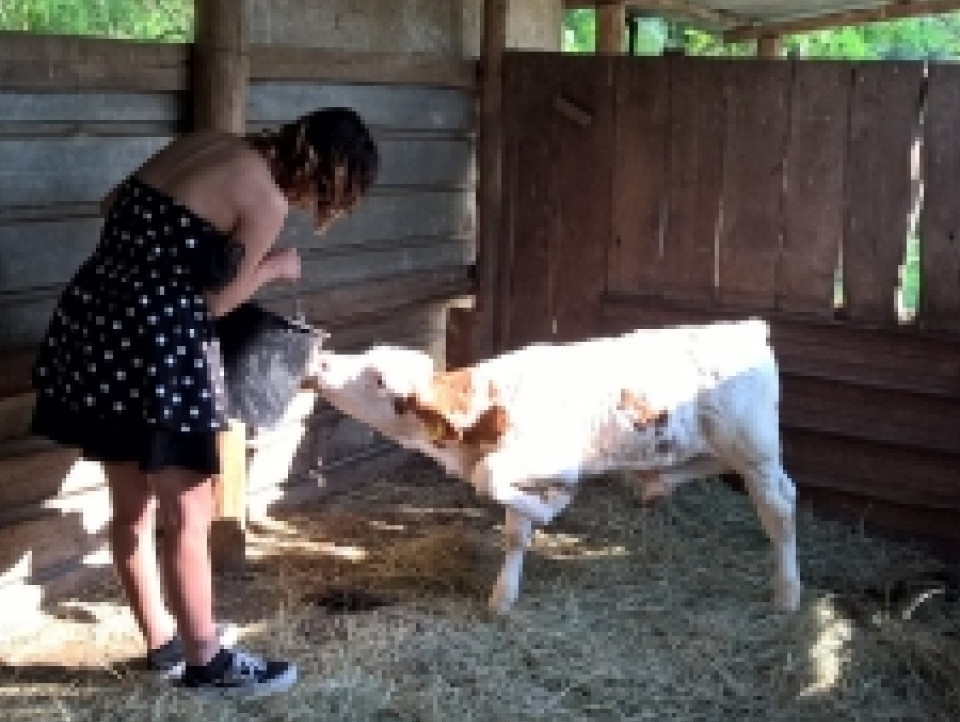 JUST FRIENDS SOCIETA' AGRICOLA  A  R.L.