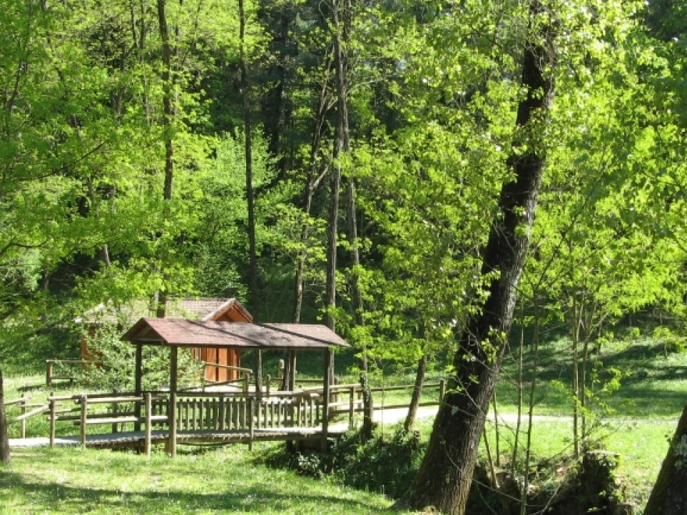 JUST FRIENDS SOCIETA' AGRICOLA  A  R.L.