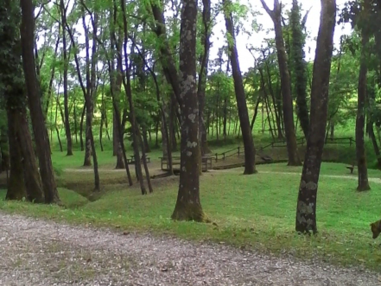 JUST FRIENDS SOCIETA' AGRICOLA  A  R.L.