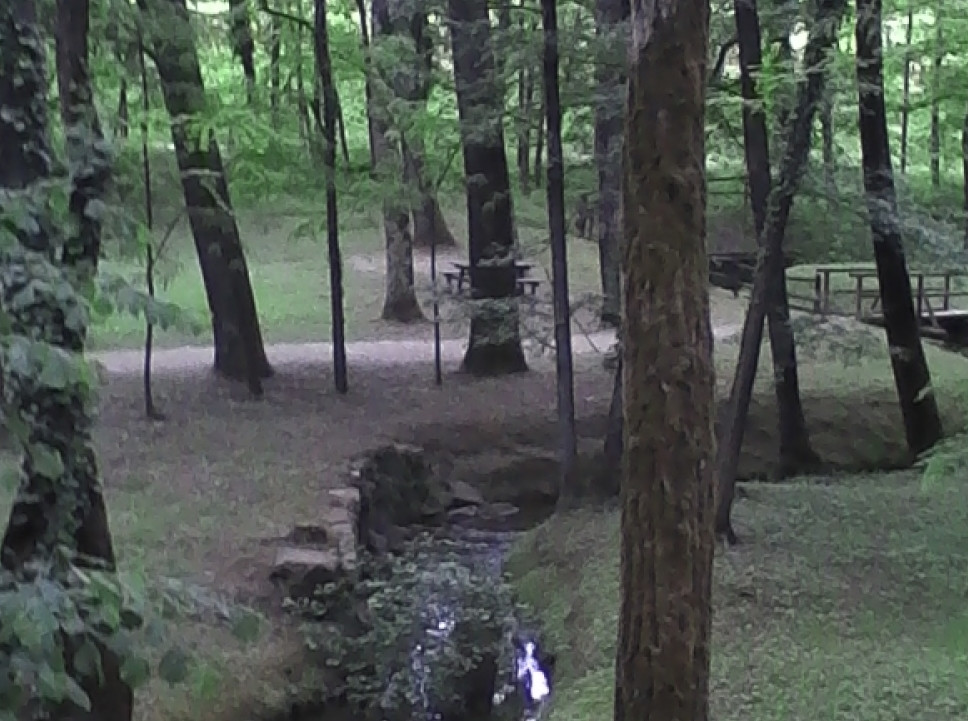 JUST FRIENDS SOCIETA' AGRICOLA  A  R.L.