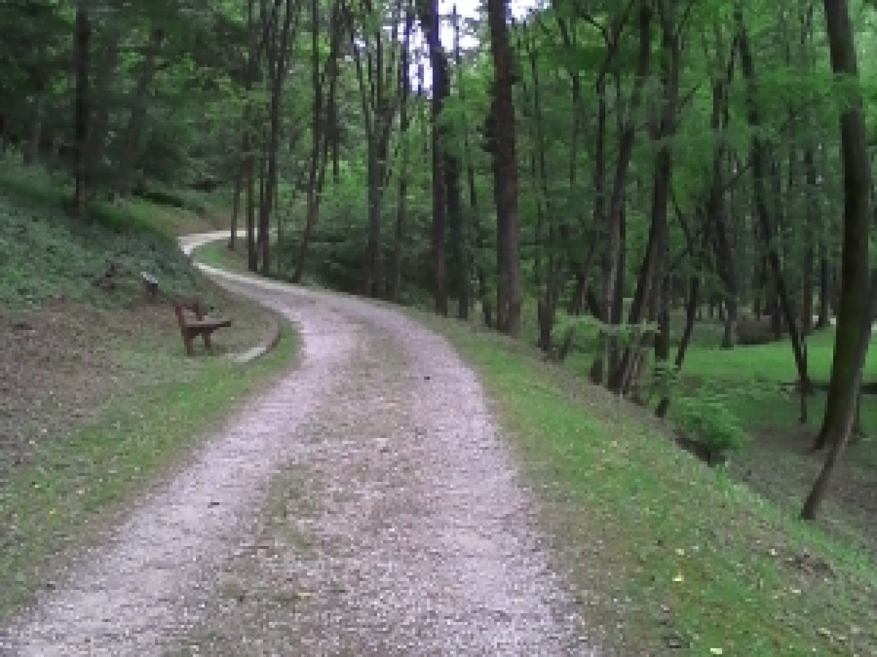 JUST FRIENDS SOCIETA' AGRICOLA  A  R.L.