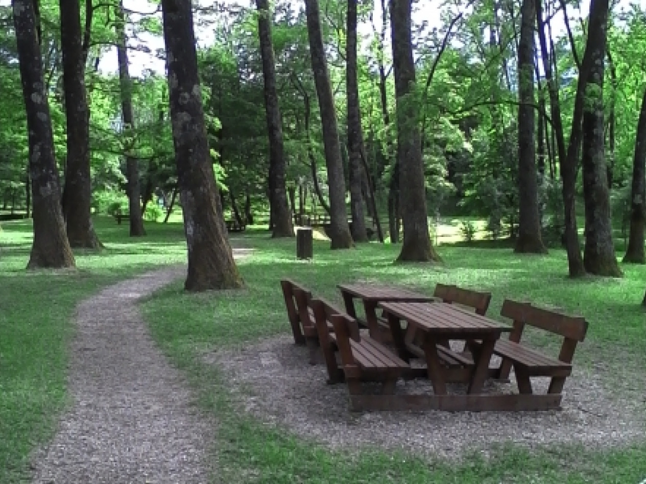 JUST FRIENDS SOCIETA' AGRICOLA  A  R.L.