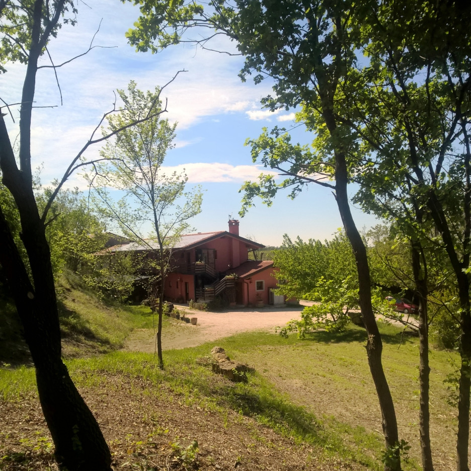 JUST FRIENDS SOCIETA' AGRICOLA  A  R.L.