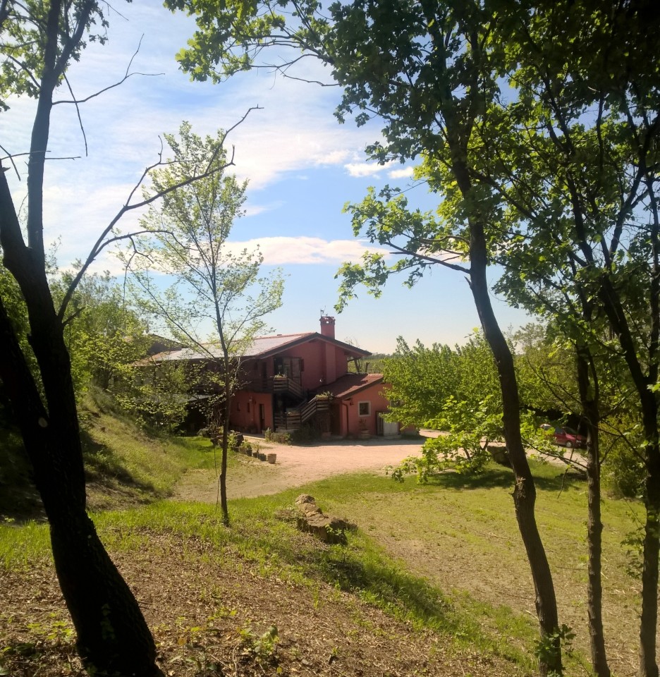 JUST FRIENDS SOCIETA' AGRICOLA  A  R.L.