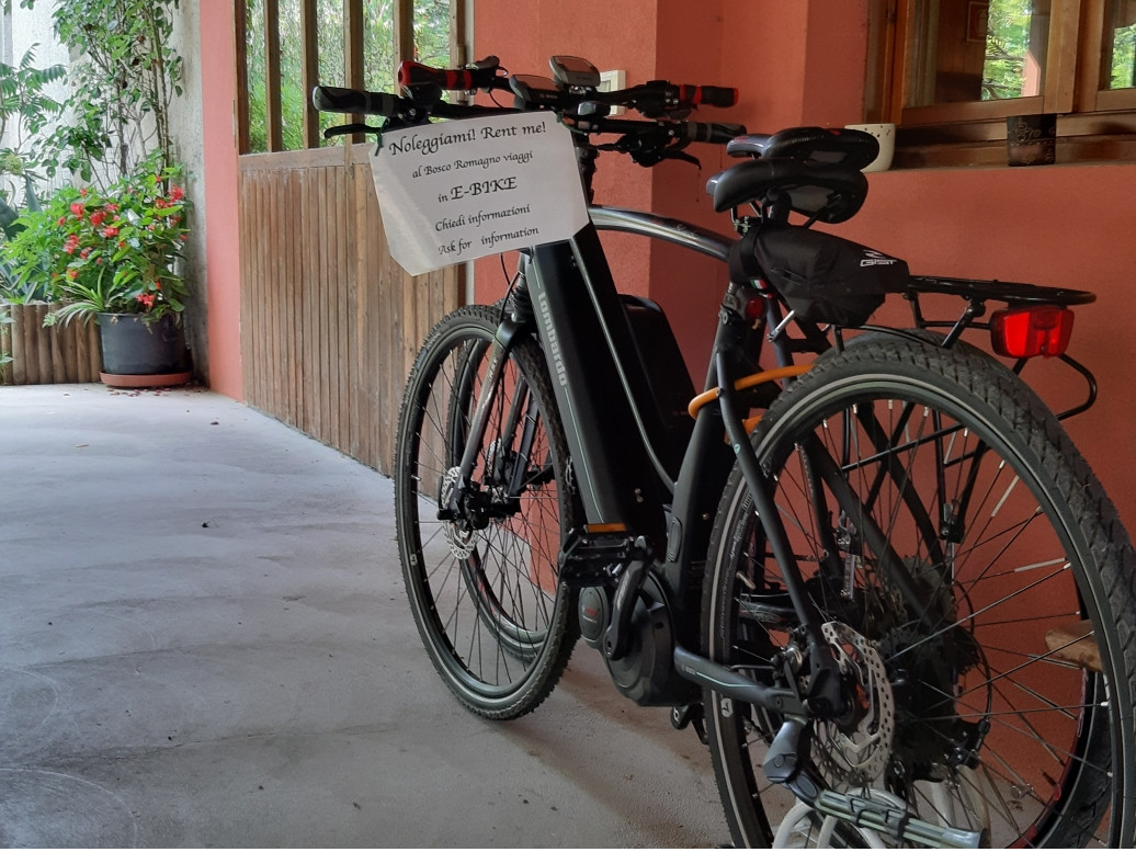 JUST FRIENDS SOCIETA' AGRICOLA  A  R.L.