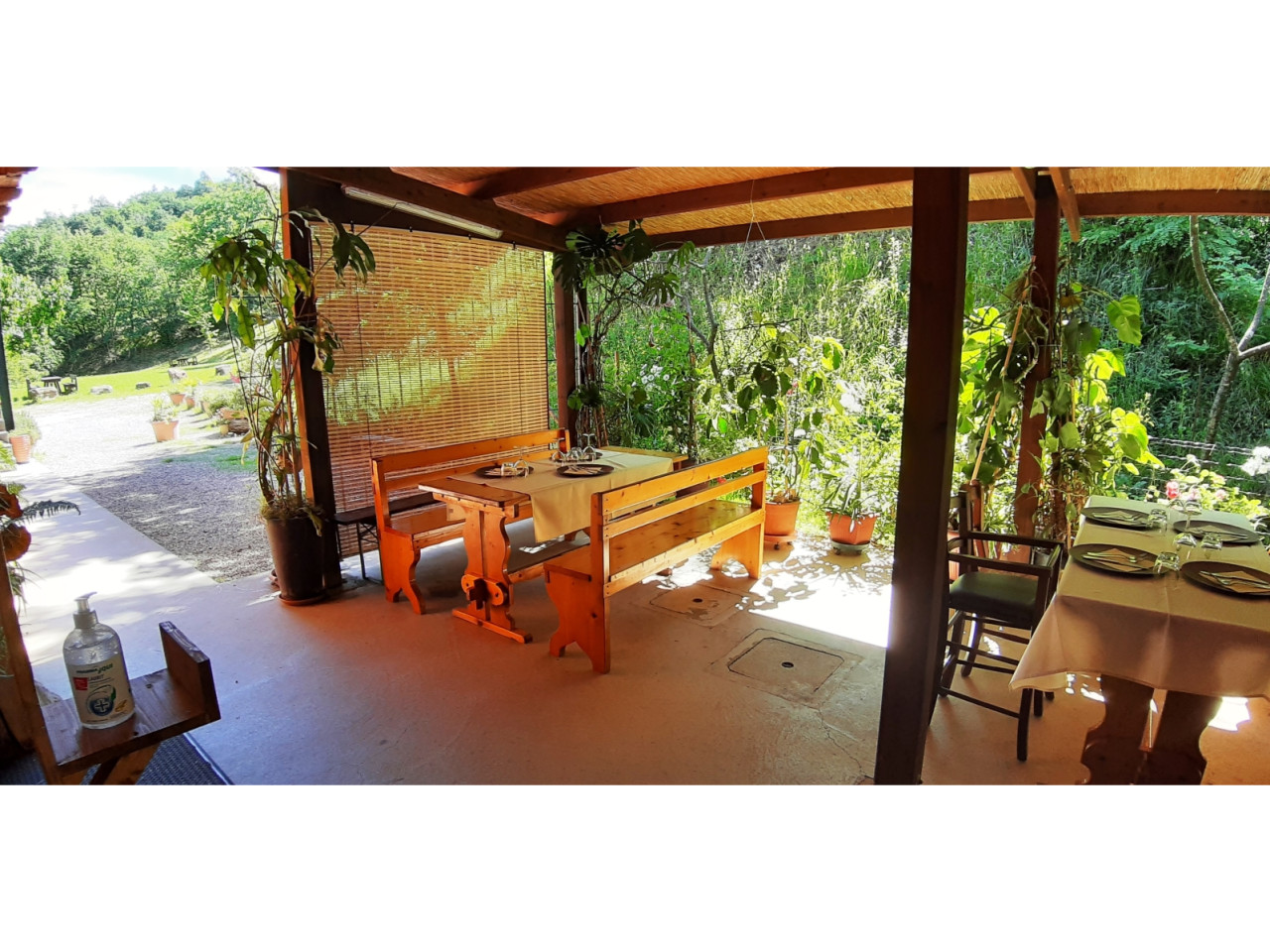 JUST FRIENDS SOCIETA' AGRICOLA  A  R.L.